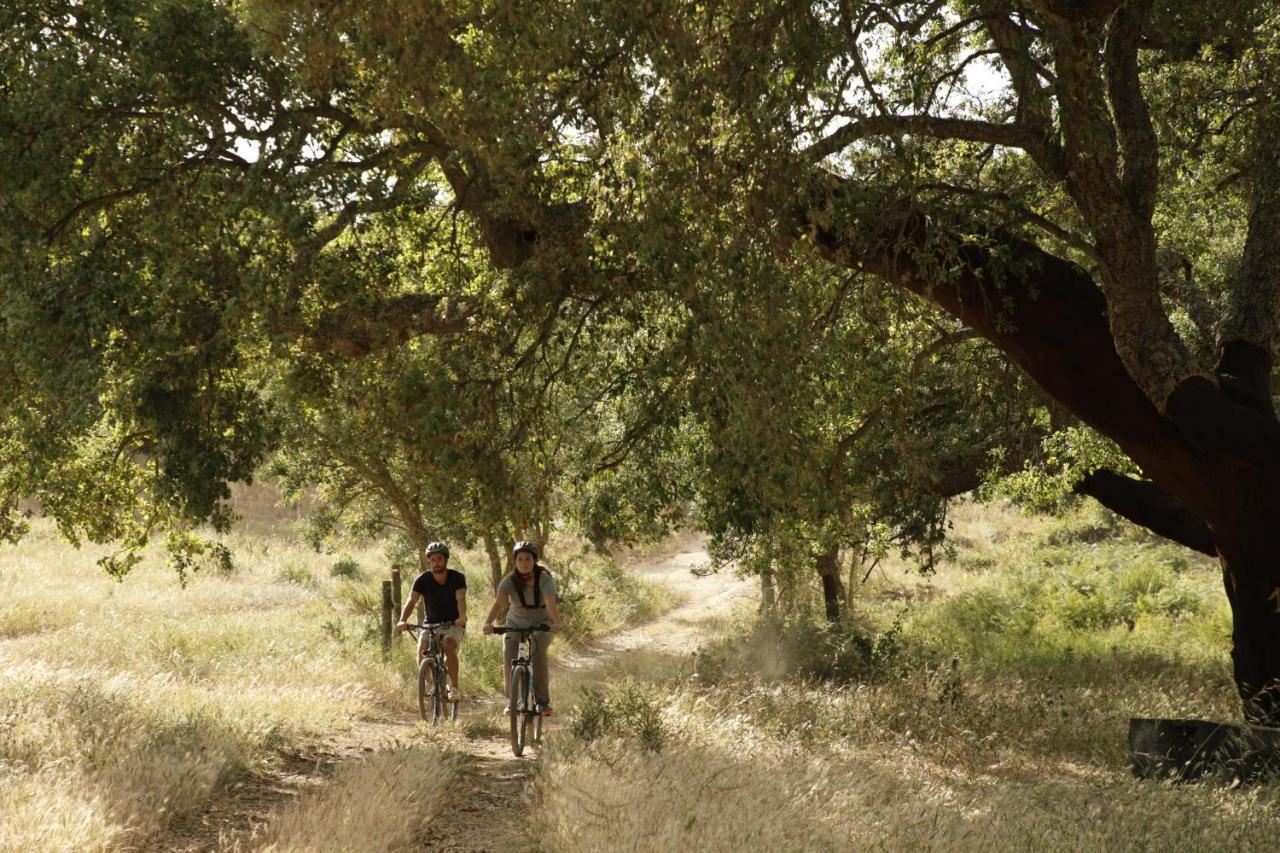 Herdade Da Matinha Country House & Restaurant Cercal do Alentejo Dış mekan fotoğraf